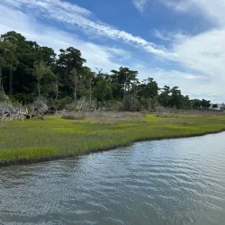 Emerald Isle Woods Park - Cape Carteret