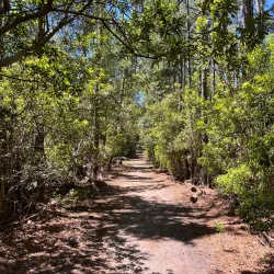 Emerald Isle Woods Park - Cape Carteret