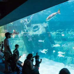 North Carolina Aquarium at Pine Knoll Shores - Cape Carteret