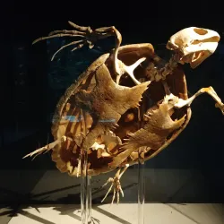 North Carolina Aquarium at Pine Knoll Shores - Cape Carteret