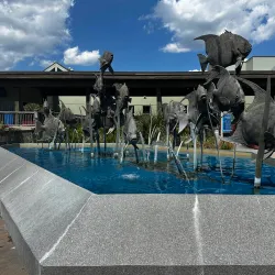 North Carolina Aquarium at Pine Knoll Shores - Cape Carteret