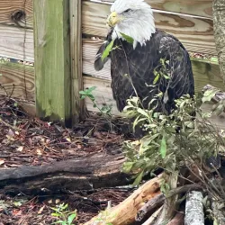 North Carolina Aquarium at Pine Knoll Shores - Cape Carteret