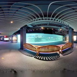 North Carolina Aquarium at Pine Knoll Shores - Cape Carteret