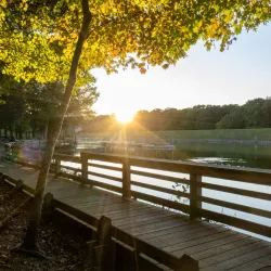Bond Park Boathouse - Cary