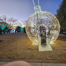 Downtown Cary - Cary