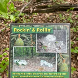 Hemlock Bluffs Nature Preserve - Cary