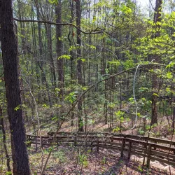 Hemlock Bluffs Nature Preserve - Cary