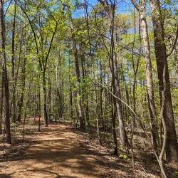Hemlock Bluffs Nature Preserve - Cary