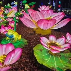 Koka Booth Amphitheatre - Cary