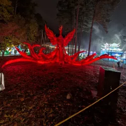 Koka Booth Amphitheatre - Cary