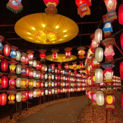 Koka Booth Amphitheatre - Cary