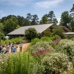 Botanical Gardens at Chapel Hill - Chapel Hill