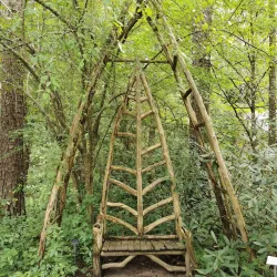 Botanical Gardens at Chapel Hill - Chapel Hill