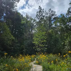 Botanical Gardens at Chapel Hill - Chapel Hill