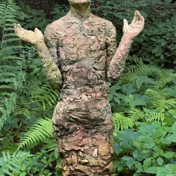 Botanical Gardens at Chapel Hill - Chapel Hill