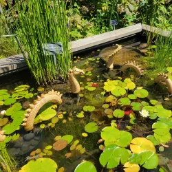 Botanical Gardens at Chapel Hill - Chapel Hill