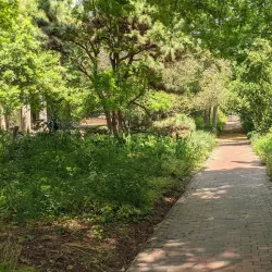 Coker Arboretum - Chapel Hill