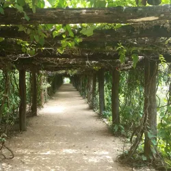 Coker Arboretum - Chapel Hill