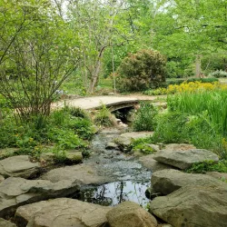Coker Arboretum - Chapel Hill