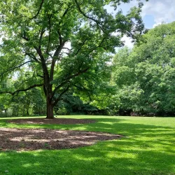Coker Arboretum - Chapel Hill