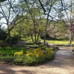 Coker Arboretum - Chapel Hill