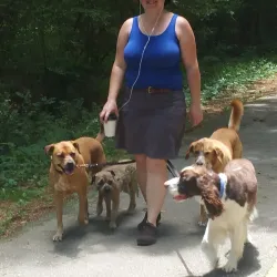 Frances Shetley Park - Chapel Hill