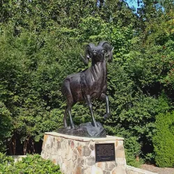 Kenan Memorial Stadium - Chapel Hill