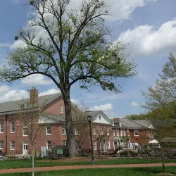 University of North Carolina at Chapel Hill - Chapel Hill
