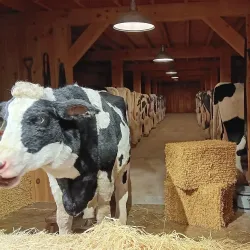 Billy Graham Library - Charlotte