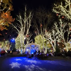 Carowinds Amusement Park - Charlotte