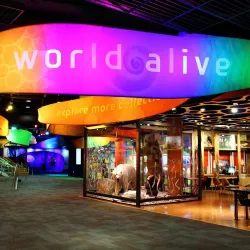 Discovery Place Science - Charlotte