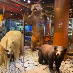 Discovery Place Science - Charlotte