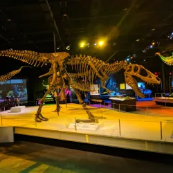 Discovery Place Science - Charlotte