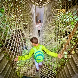 Discovery Place Science - Charlotte