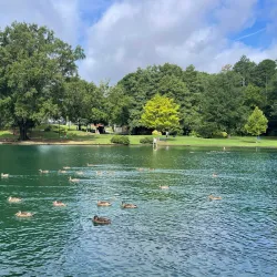 Freedom Park - Charlotte