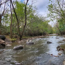 Freedom Park - Charlotte