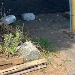 NoDa (North Davidson Arts District) - Charlotte