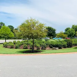 Clayton Farmers Market - Clayton