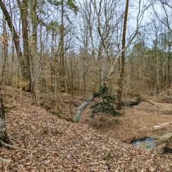 Clayton Riverwalk - Clayton