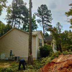 Downtown Clayton - Clayton