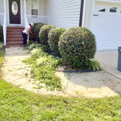 Downtown Clayton - Clayton