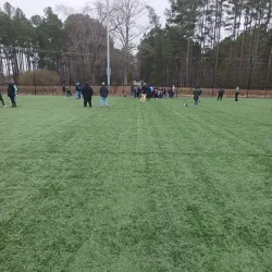 Herndon Park - Clayton