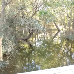 Neuse River Trail - Clayton