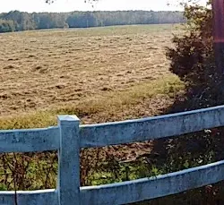 Neuse River Trail - Clayton