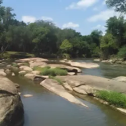Neuse River Trail - Clayton