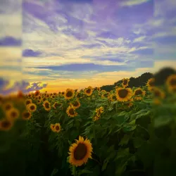 Neuse River Trail - Clayton