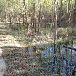 Neuse River Trail - Clayton
