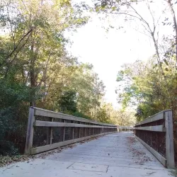 Neuse River Trail - Clayton