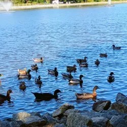 Frank Liske Park - Concord