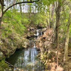 Frank Liske Park - Concord